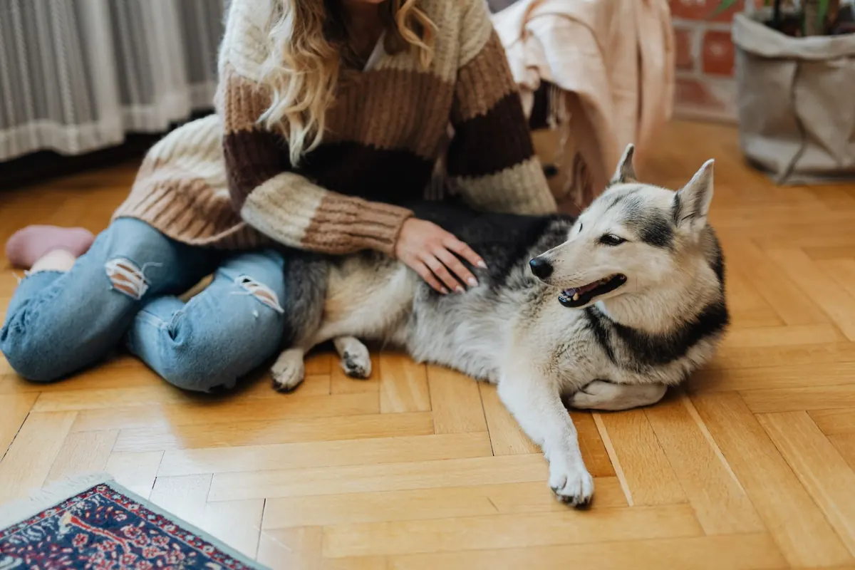 The Beginner's Guide to House Sitting for Free Accommodation